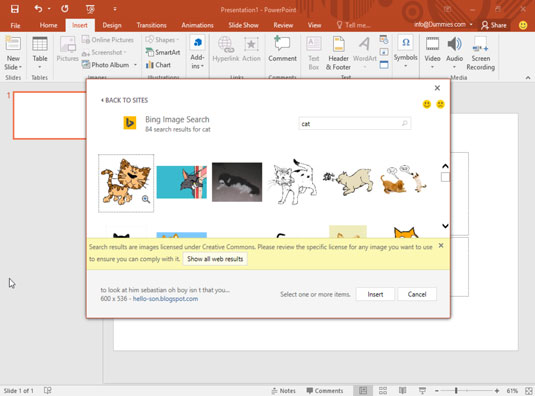 The Insert Pictures dialog box displays images found on the Internet.