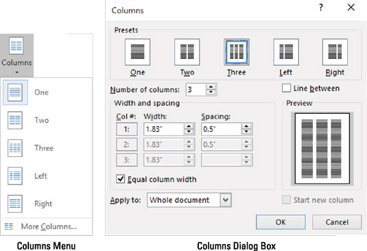 The Columns menu and dialog box.