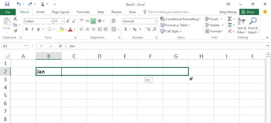 To enter a series of months, enter the first month and then drag the fill handle in a direction to 