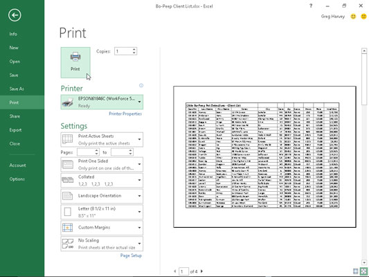 The Print screen in Backstage view shows your current print settings plus a preview of the printout.