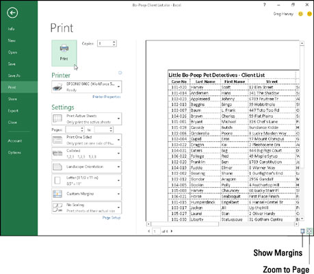 Page 1 of a four-page report after clicking the Zoom to Page button.