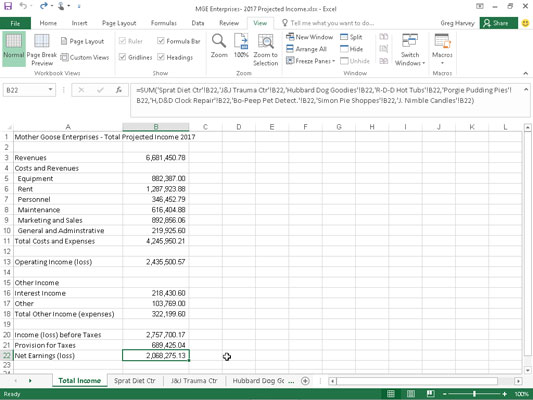 The Total Income worksheet after I copy the SUM formula and delete formulas that return zero values.