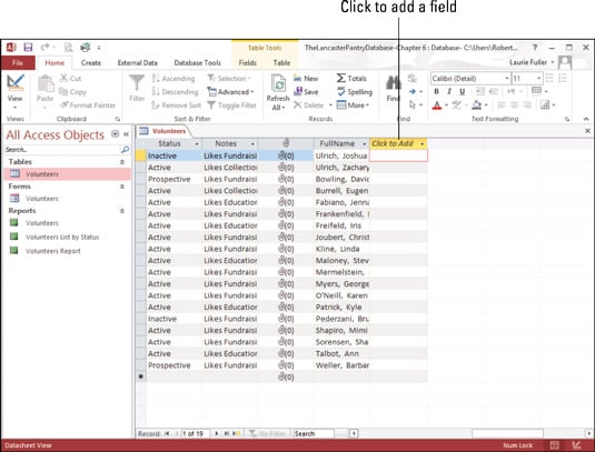 In Datasheet view, find the field heading aptly called <i>Click to Add</i>.