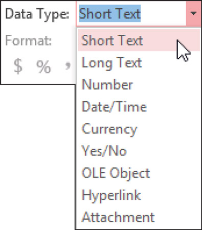 In the Formatting section of the tab, click the Data Type drop-down arrow.