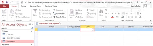 Filter by Form offers a grid and drop-down lists to set criteria for each field.