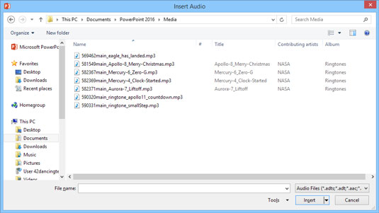 The Insert Audio dialog box.