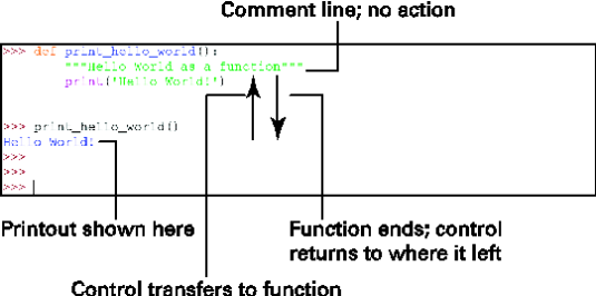 <b>Figure 1: Program flows into and out of the function.</b>