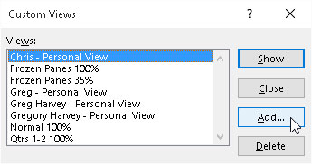 Adding a new view for the worksheet in the Custom Views dialog box.