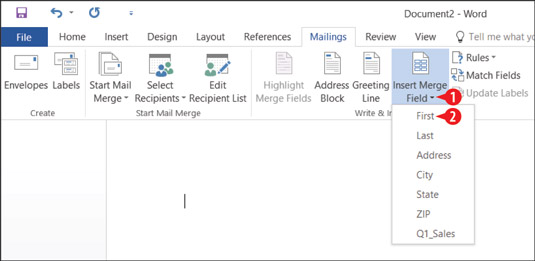 Choose an individual field to insert.