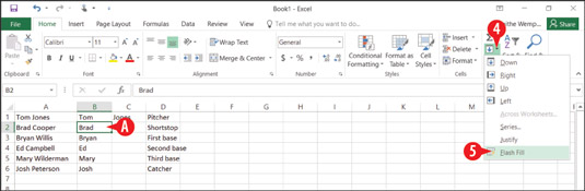 The Flash Fill command populates the columns with data using your example.