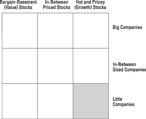 The shaded area is the portion of the investment grid represented by small growth stocks.