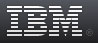 The IBM logo is simple but classic.