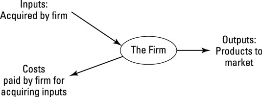 The microeconomist's view of a firm.