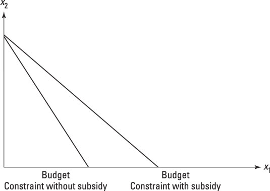 Showing the effect of a subsidy on the budget constraint.