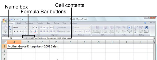 What you type appears in the current cell and on the Formula bar.