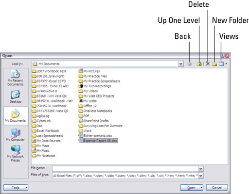 The Open dialog box as it appears when running Excel 2007 on Windows XP.