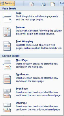 word create section 2007 dummies breaks setup button group click