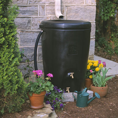 Water your garden from a rain barrel instead of the tap for a greener garden.