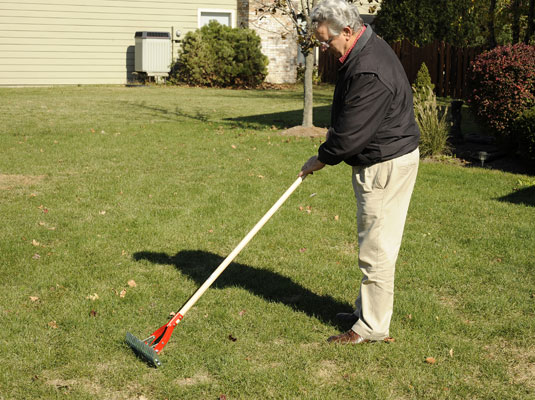 Dethatching prevents lawn problems naturally.