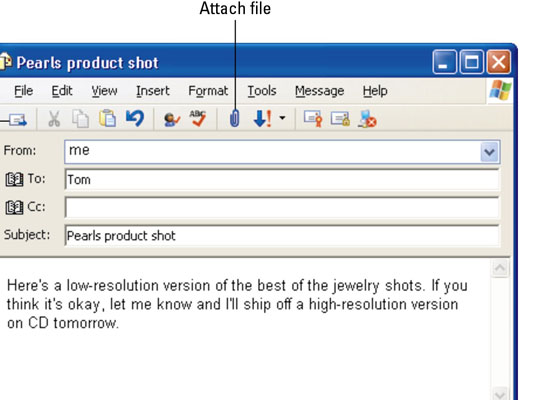 Choose Insert→File Attachment or click the Attach File button on the toolbar.