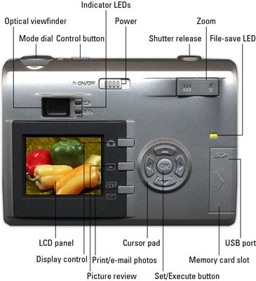 The back of a typical digital camera.