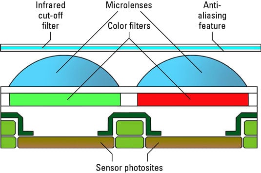 The image sensor of a digital camera is composed of sensor photosites, color filters, microlenses and an infrared cut-off filter.