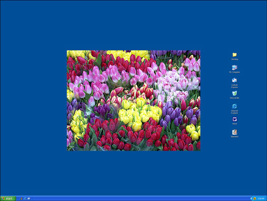 An image with a resolution of 800x600 pixels covers less than half of a screen with a resolution of 1600x1200 pixels.