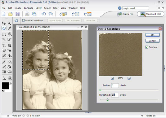 Remove imperfections in your image by using the Dust & Scratches dialog box.