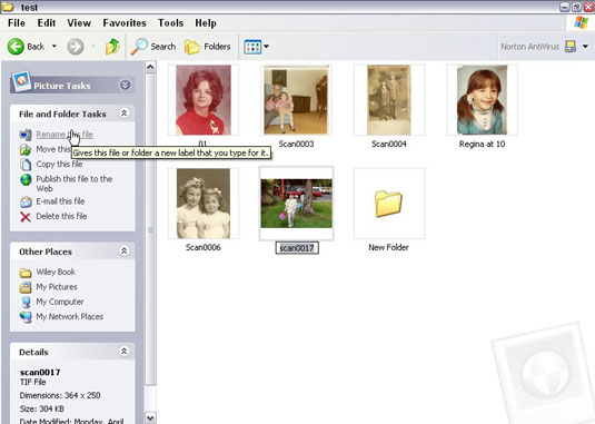 Select the Rename This File task from the File and Folder Tasks pane.