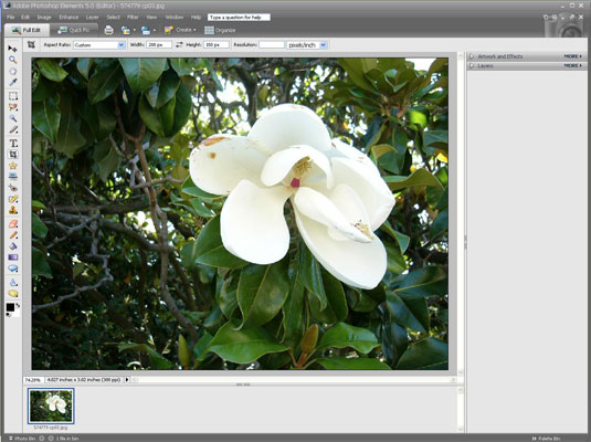 Open an image in Adobe Photoshop Elements.
