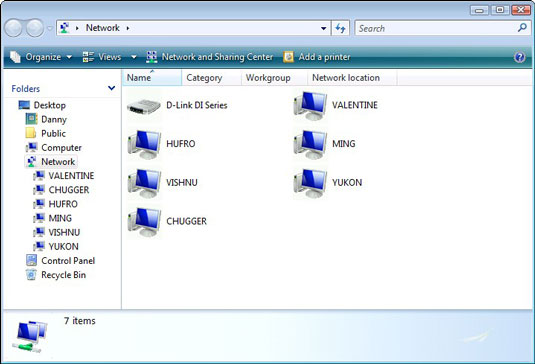 Computers sharing the same local network in Windows Vista.