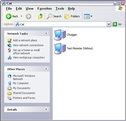 Computers in a workgroup, as seen by Windows XP.