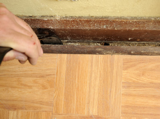 Pull the base shoe moldings away from the wall enough to see the closest nail.