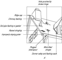 Looking for roof leaks on the outside of your house.