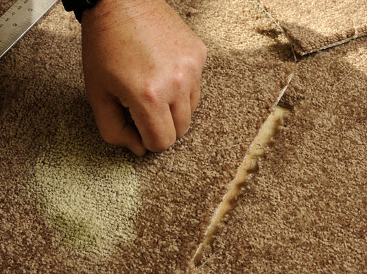 Remove the damaged carpet.