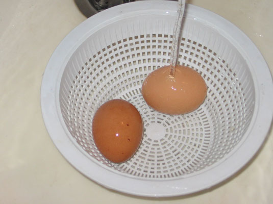 Carefully drain the eggs in a colander and run cold water over them.