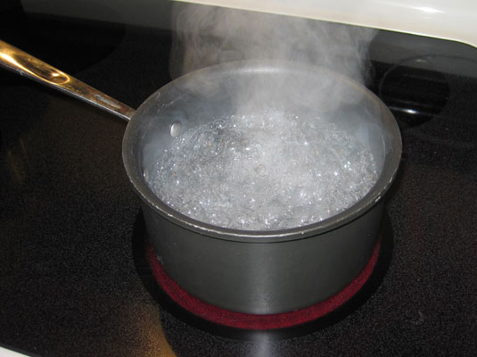 Let the water come to a full rolling boil (when the bubbles are rapidly breaking the surface).