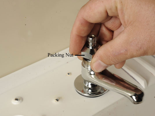 Remove the packing nut.