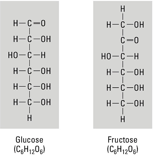 anatomy-monosaccharides