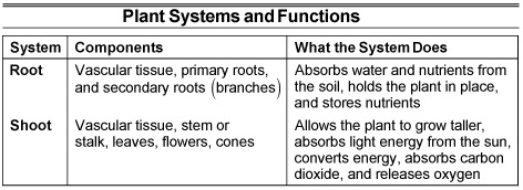 asvab-plant-systems