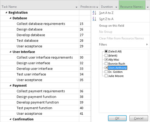 The Project 16 Autofilter Feature Dummies