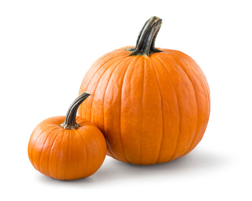 The pumpkin, a New World original now grown on every continent except Antarctica, is a member of the squash family with nary a smidgen of waste.