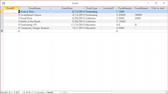 access-datasheet-view