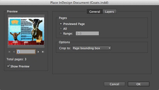 Pl;ace InDesign Document InDesign CC