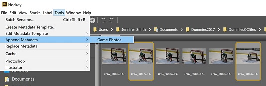 metadata template Adobe Bridge CC