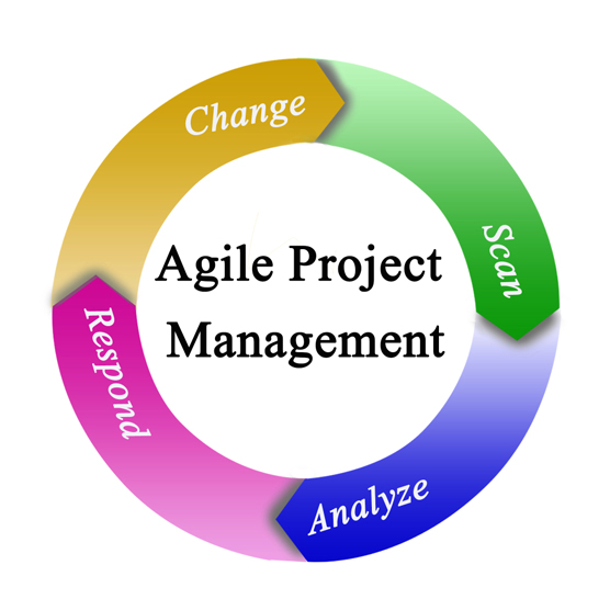 agile change management