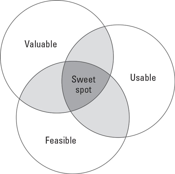 Agile Project Management: Know Your Customers - dummies