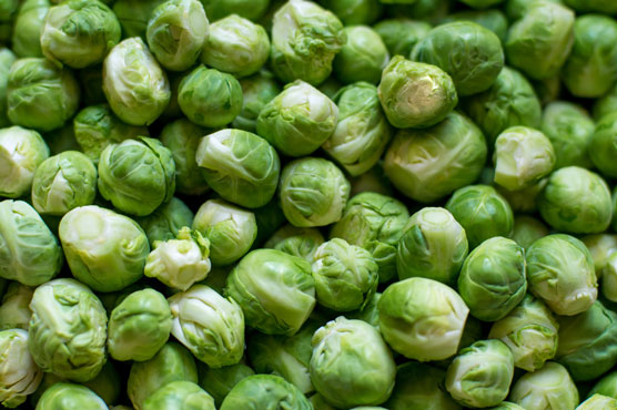 Brussels Sprouts