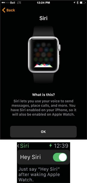 apple-watch-siri-effectively