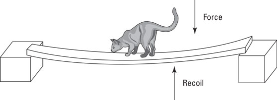 The concept of elastic recoil.